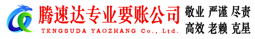 湖北腾速达清债公司